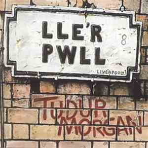 Tudur Morgan - Lle'r Pwll download mp3