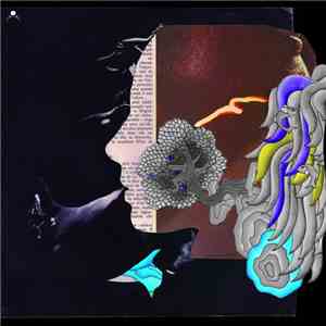 Dirty Sound System - Dirty French Psychedelics download mp3