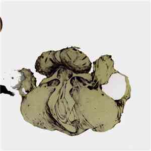 Coil - The Ape Of Naples / The New Backwards download mp3