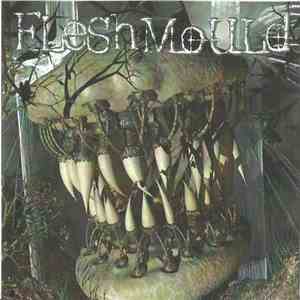 Fleshmould - Fleshmould download mp3
