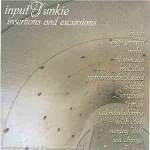 inputJunkie - insertions and excursions mp3 download