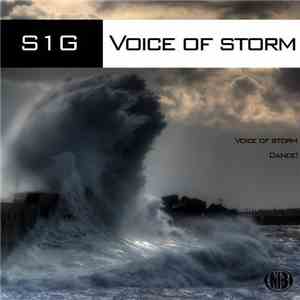 S1G - Voice Of Storm download mp3