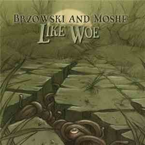 Brzowski & Moshe - Like Woe download mp3