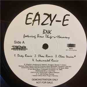 Eazy-E - BNK / 24 HRS To Live (Remix) download mp3