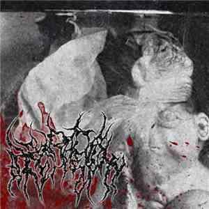 Heteradelphy - Heteradelphy download mp3