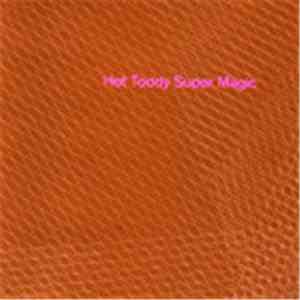 Hot Toddy - Super Magic download mp3