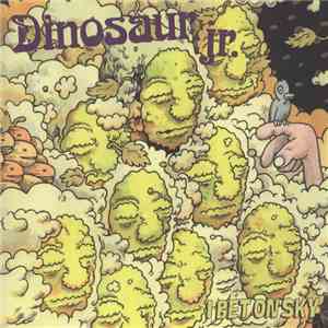 Dinosaur Jr. - I Bet On Sky download mp3