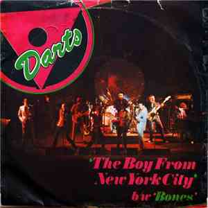 Darts - The Boy From New York City download mp3