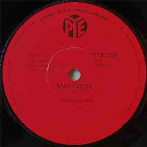 The Settlers - Snowbird download mp3