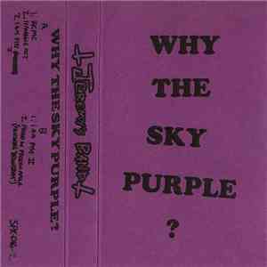 Jeremy's Band - Why The Sky Purple? download mp3
