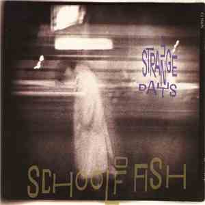 School Of Fish - 3 Strange Days download mp3