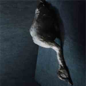 Amenra - Mass VI download mp3