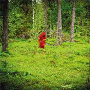 Cosmic Church - Vigilia download mp3