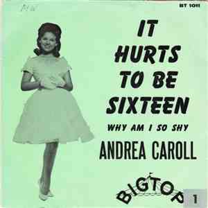 Andrea Caroll - It Hurts To Be Sixteen download mp3