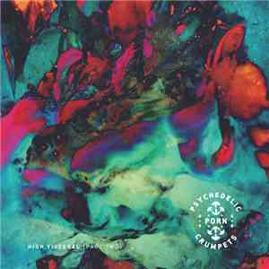 Psychedelic Porn Crumpets - High Visceral {Part Two} download mp3