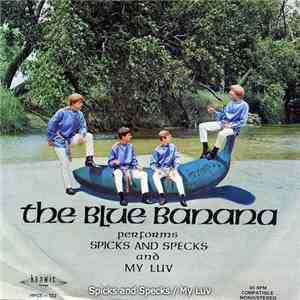 The Blue Banana - My Luv download mp3