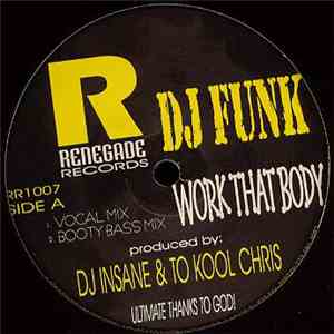 DJ Funk - Work That Body download mp3
