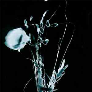 Inoran - 想 download mp3