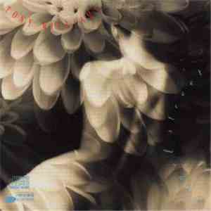 Tony Williams - Angel Street download mp3