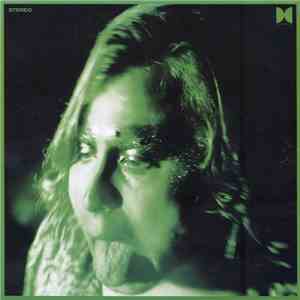 Ty Segall - Would You Be My Love download mp3