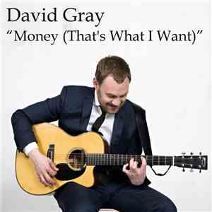 David Gray - Money (That's What I Want) download mp3