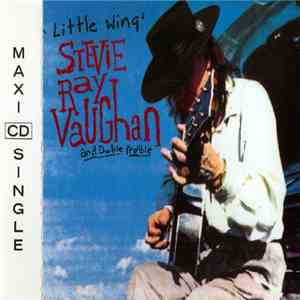 Stevie Ray Vaughan & Double Trouble - Little Wing download mp3