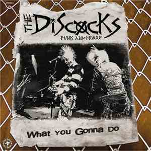 The Discocks / Smallspeaker / The Last Survivors - What You Gonna Do download mp3