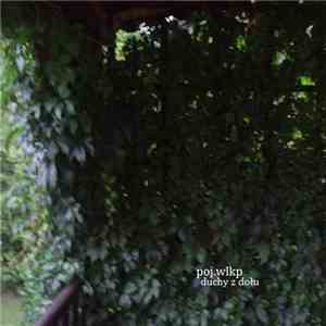 poj.wlkp - Duchy Z Dołu download mp3