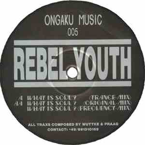 Rebel Youth - What Is Soul? download mp3