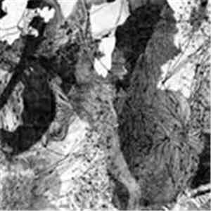 Fladd - plain download mp3