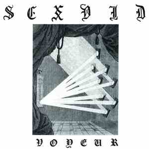 Sex Vid - Voyeur download mp3