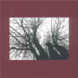 Yggdrasil / Eciton / Hermit  - Split download mp3