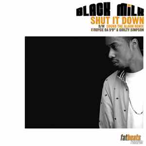 Black Milk - Shut It Down download mp3