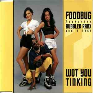 Foodbug - Wot You Tinking download mp3