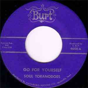 Soul Toranodoes - Go For Yourself download mp3
