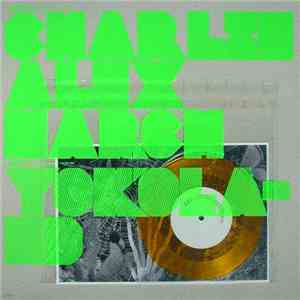 Charlie Alex March - In The End download mp3