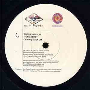 In R. Voice - Crying Universe download mp3