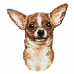 Marina Stewart & Thorsten Soltau / Thorsten Soltau - pHlexing Furry mp3 download
