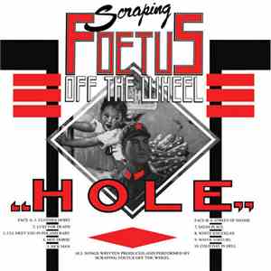 Scraping Foetus Off The Wheel - Hole download mp3