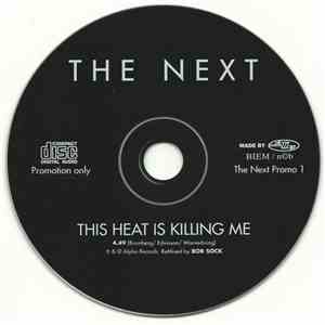 The Next  - This Heat Is Killing Me download mp3