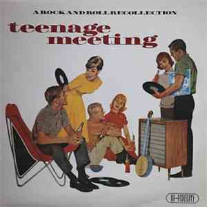 Various - Teenage Meeting download mp3