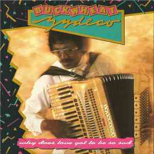 Buckwheat Zydeco - Why Does Love Got To Be So Sad download mp3