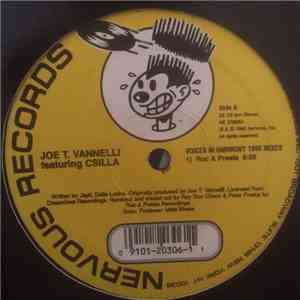 Joe T. Vannelli Featuring Csilla - Voices In Harmony 1998 Mixes download mp3