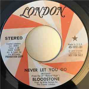 Bloodstone - Never Let You Go download mp3
