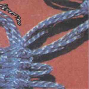 Herons - Walk Upright download mp3