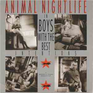 Animal Nightlife - Boys With The Best Intentions download mp3