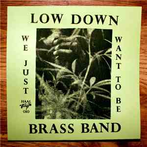 Low Down Brass Band - We Just Want To Be download mp3