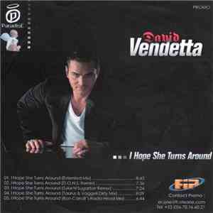 David Vendetta - I Hope She Turns Around download mp3