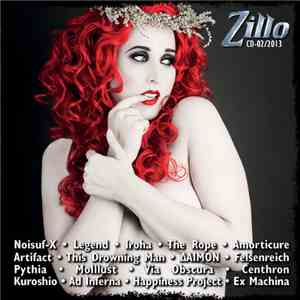 Various - Zillo CD-02/2013 download mp3