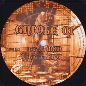 MSD  / FKY - Gniole 01 download mp3